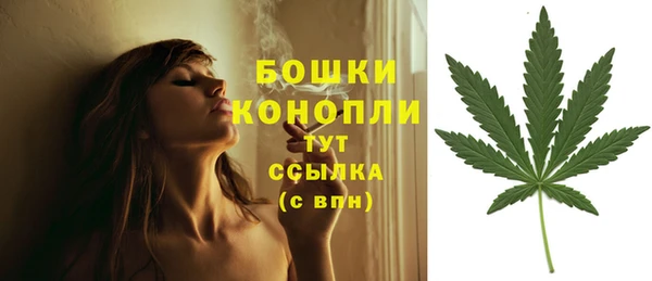 2c-b Абаза