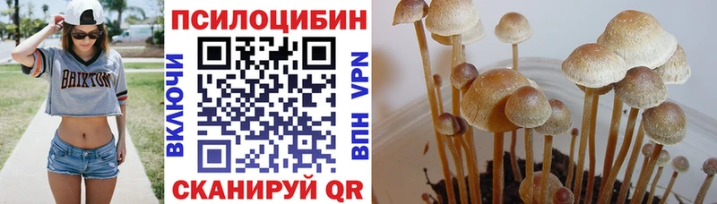 купить закладку  hydra ссылки  Псилоцибиновые грибы Cubensis  Дубна 